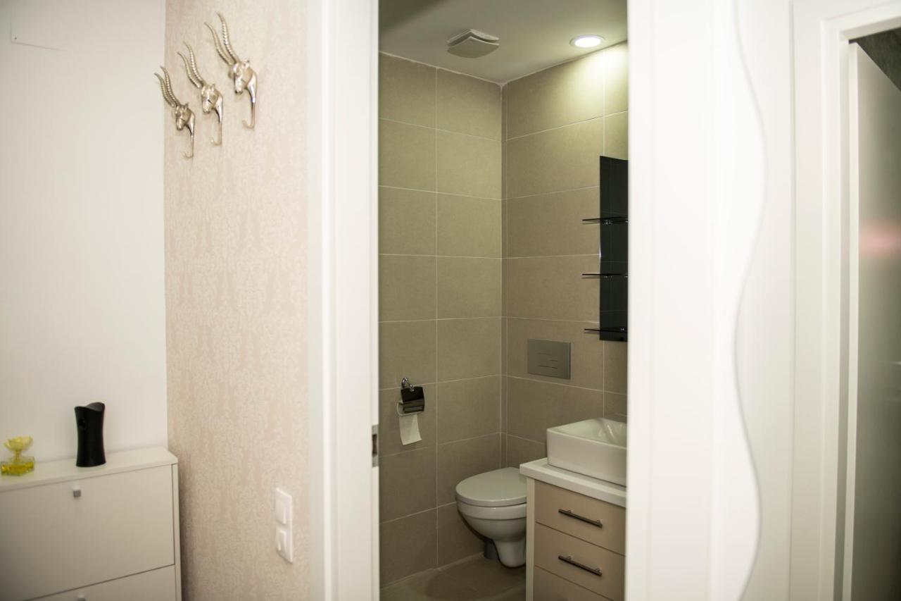 Raphael Apartment North Bucharest Cosmopolis Stefanestii de Jos Zewnętrze zdjęcie